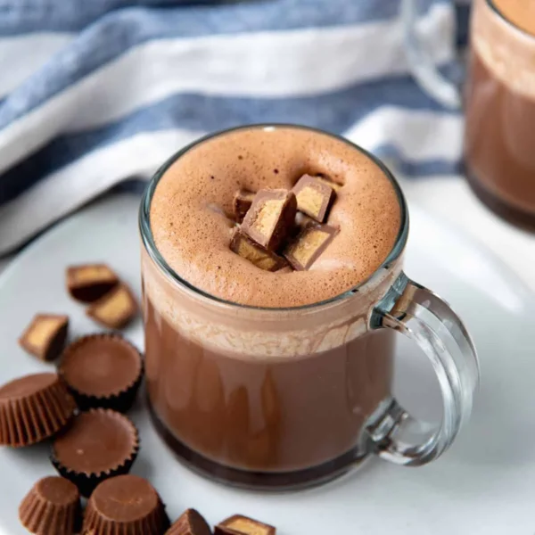 BrevA Chocolate Premium Powder
